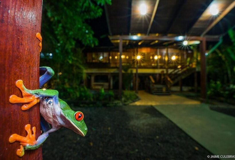 Отель Selva Verde Lodge