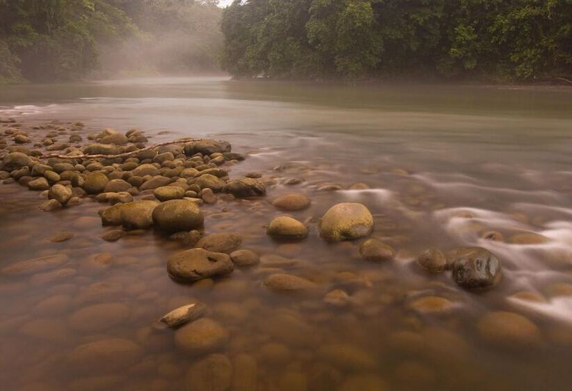 Отель Selva Verde Lodge
