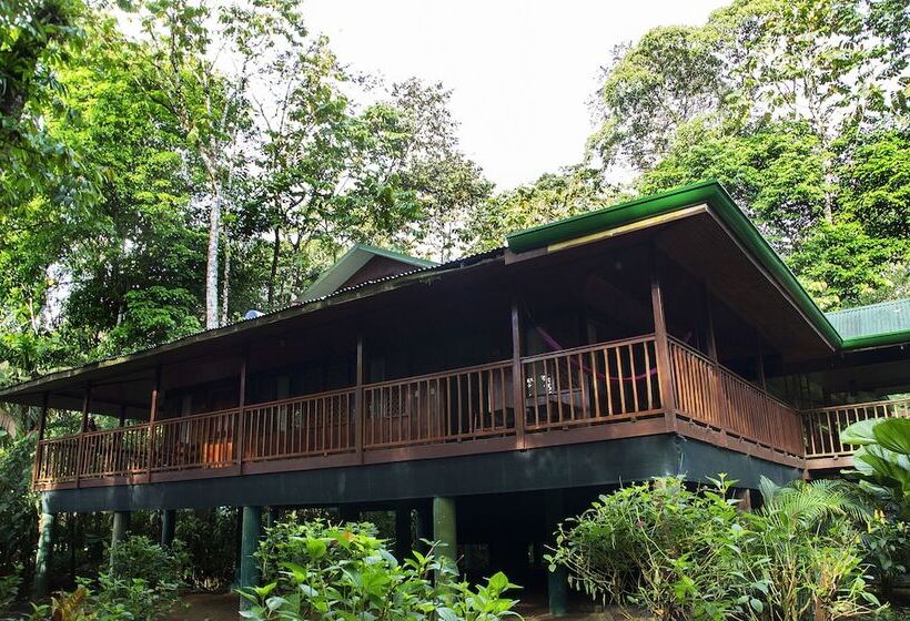 Отель Selva Verde Lodge