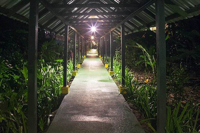 Отель Selva Verde Lodge