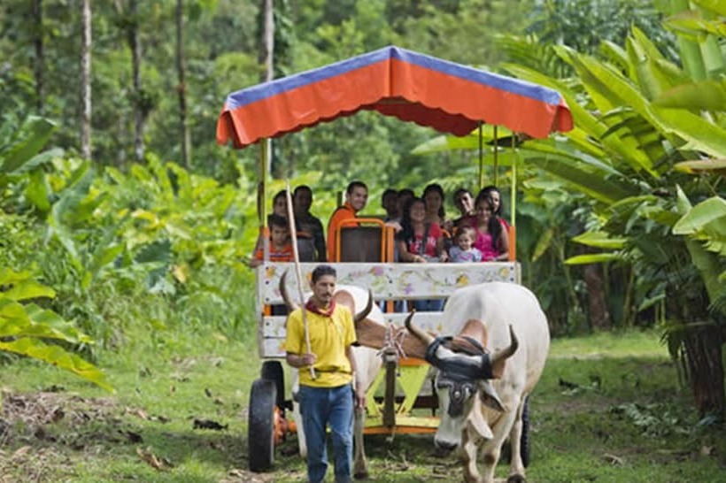 Отель Selva Verde Lodge