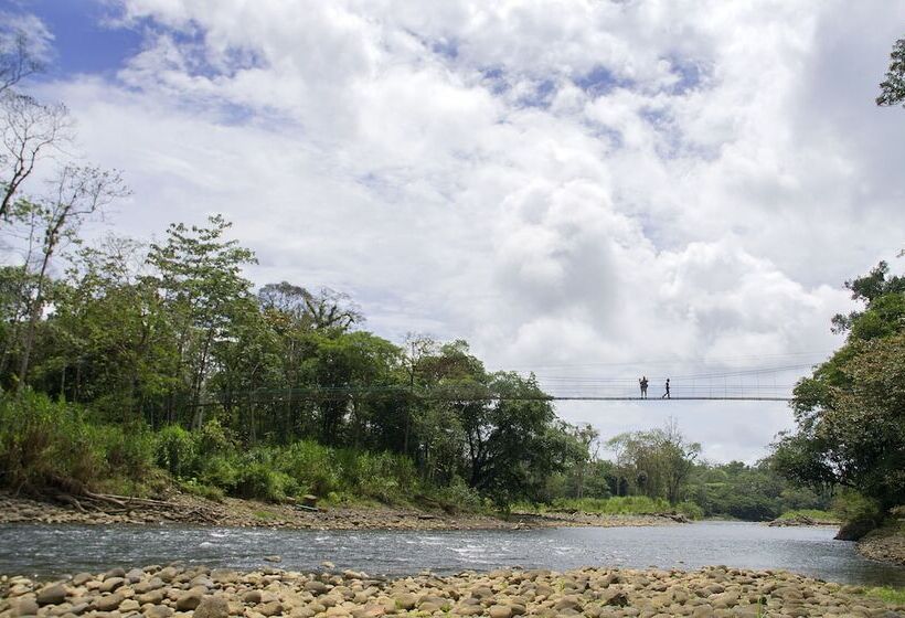 Отель Selva Verde Lodge