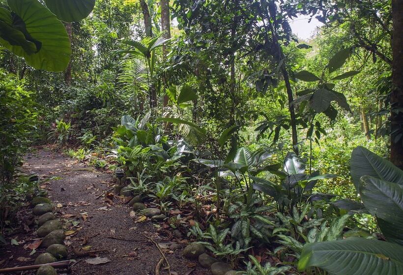 Отель Selva Verde Lodge