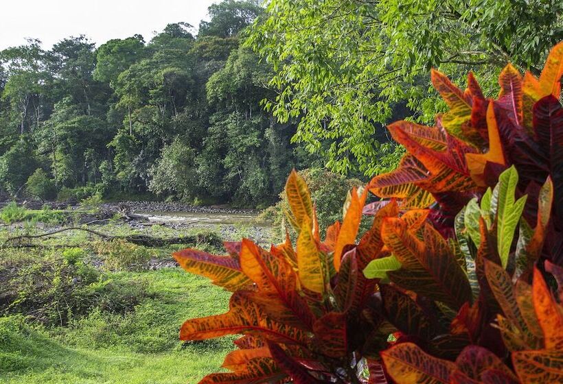 Отель Selva Verde Lodge