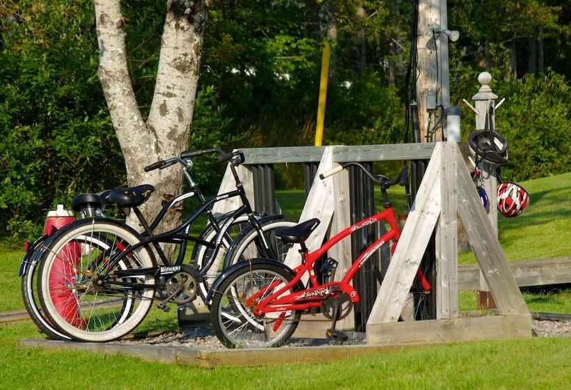 Szálloda Silver Dart Lodge