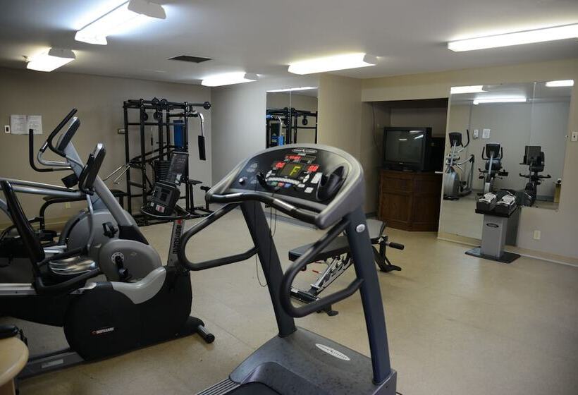 Sinbads Hotel & Suites