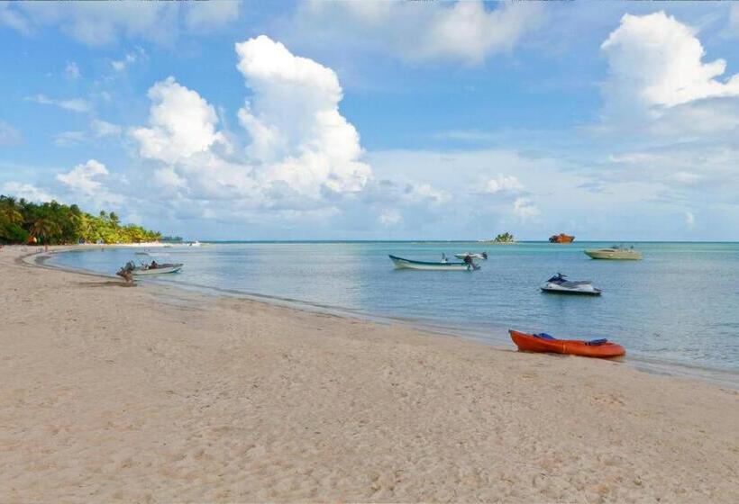 酒店 Sol Caribe Campo