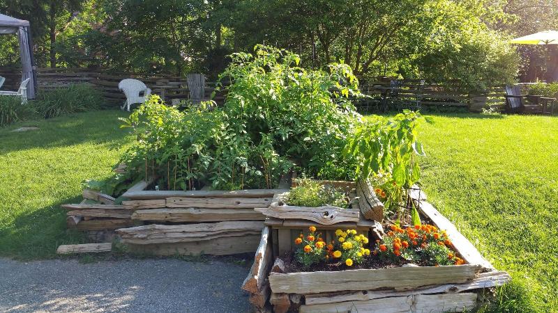 호텔 Stone Maiden Inn