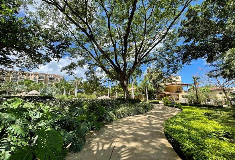 Отель Tamarindo Diria Beach Resort