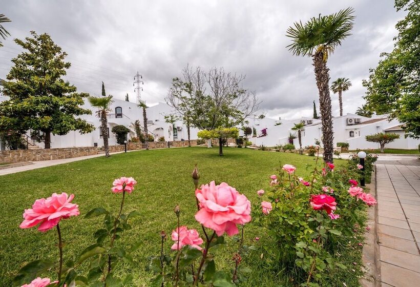 فندق The Olive Tree