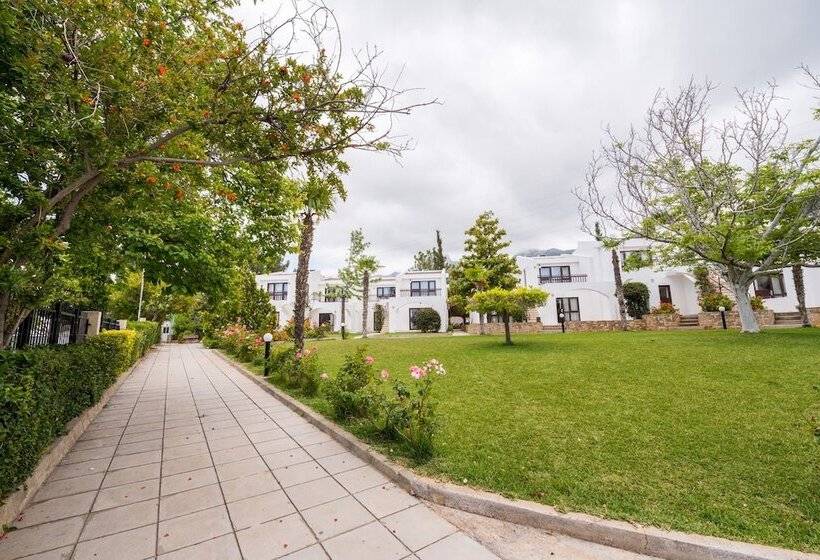 فندق The Olive Tree