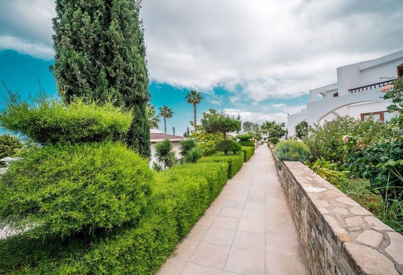 فندق The Olive Tree