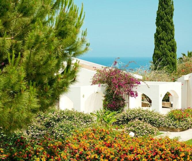 فندق The Olive Tree