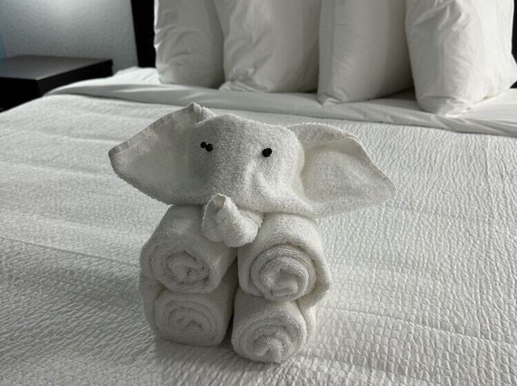 فندق Surestay Plus By Best Western Brooks