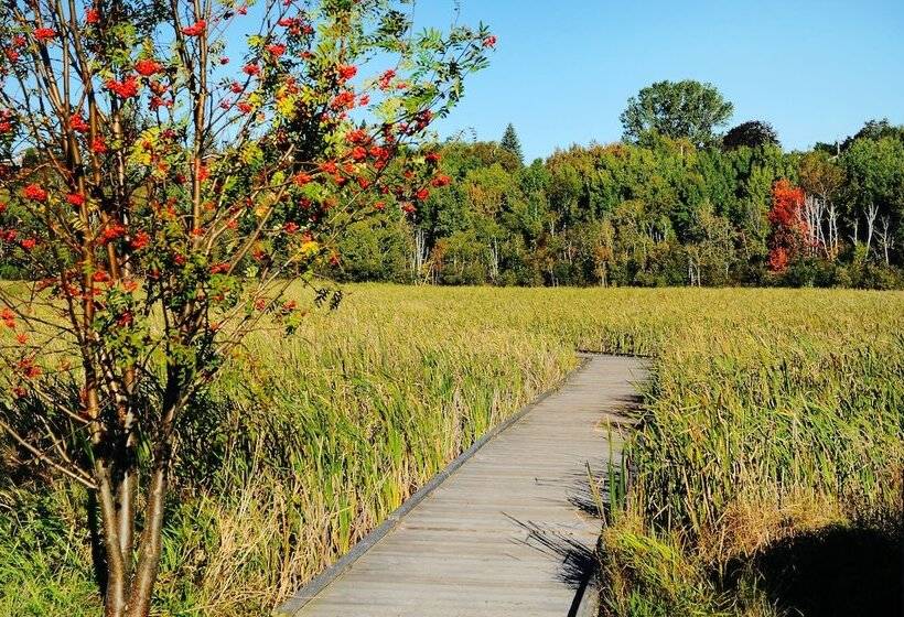 فندق Travelway Inn Sudbury