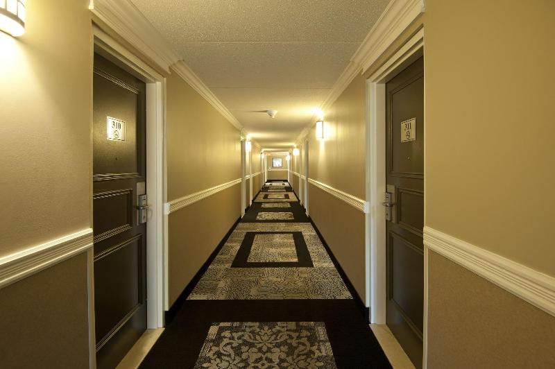 酒店 Visitor S Inn