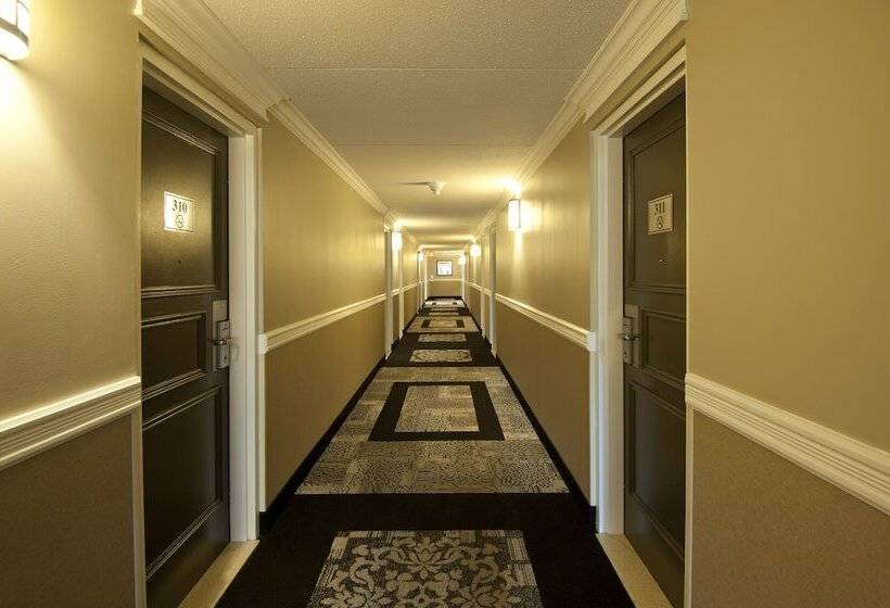 酒店 Visitor S Inn