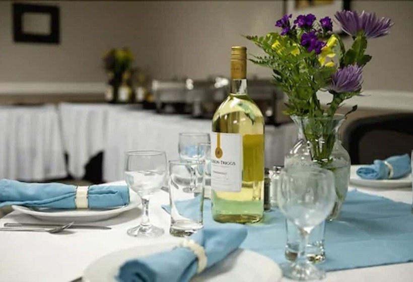 酒店 Visitor S Inn