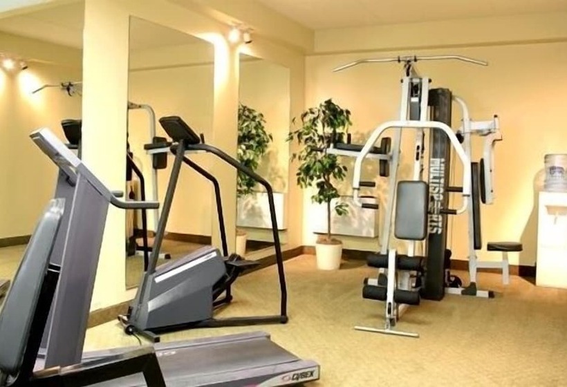 酒店 Visitor S Inn