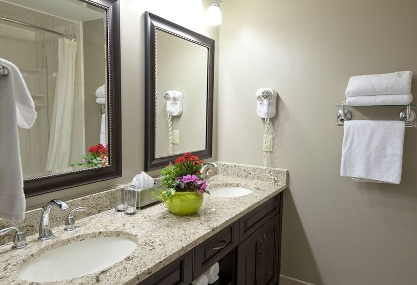 酒店 Visitor S Inn