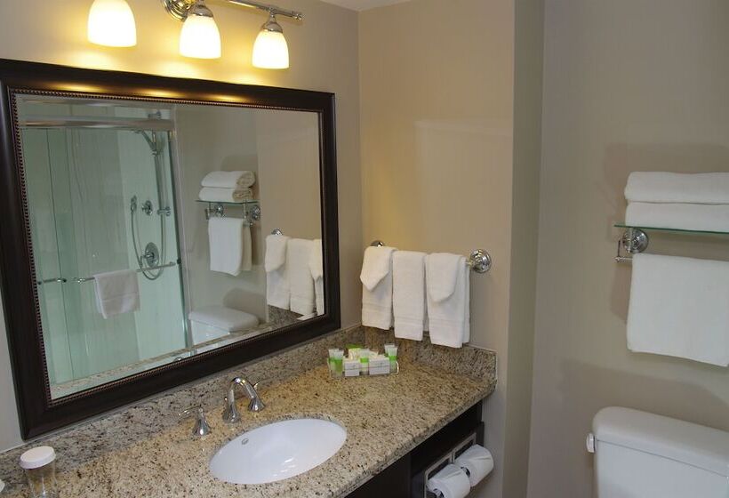 酒店 Visitor S Inn