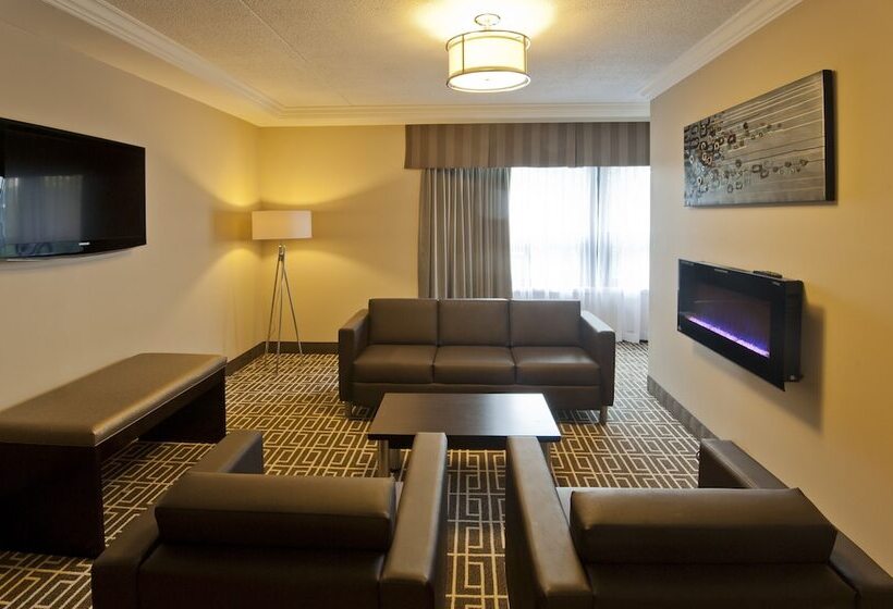 酒店 Visitor S Inn