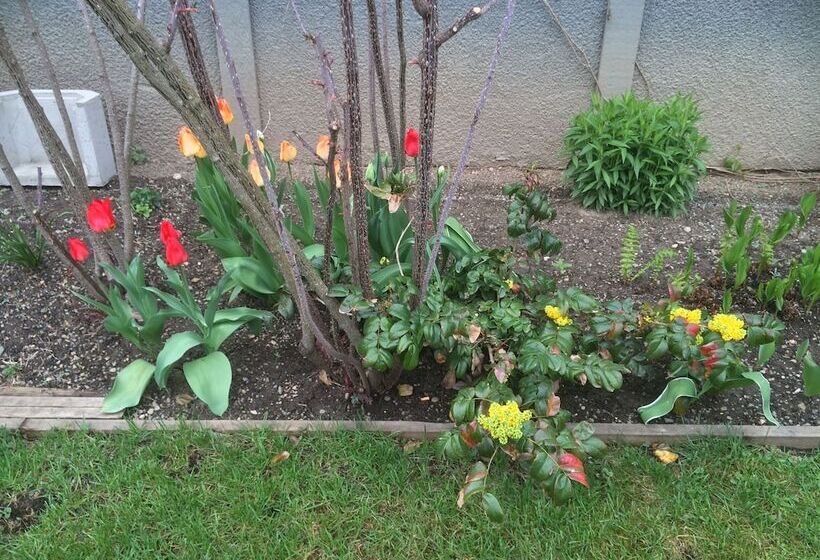 酒店 Wells Gray Inn