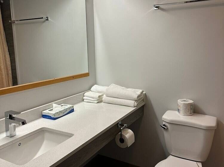 酒店 Wells Gray Inn