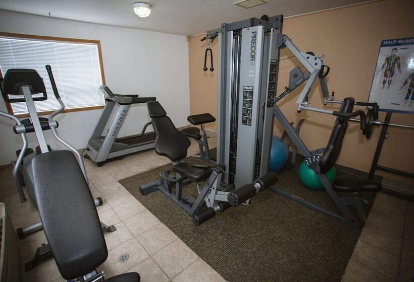 فندق على الطريق Super 8 By Wyndham Drayton Valley