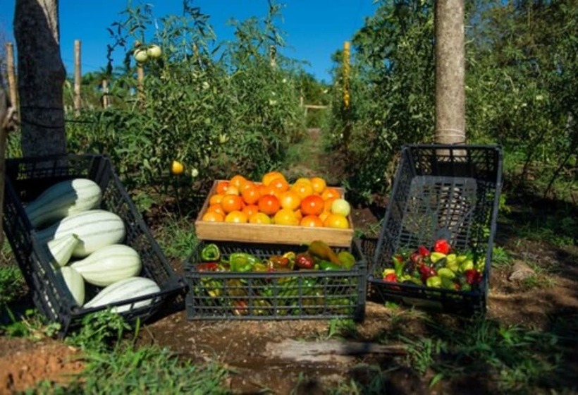 منتجع Tango Mar Beachfront Boutique Hotel & Villas