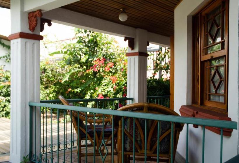 酒店 La Rosa Del Paseo