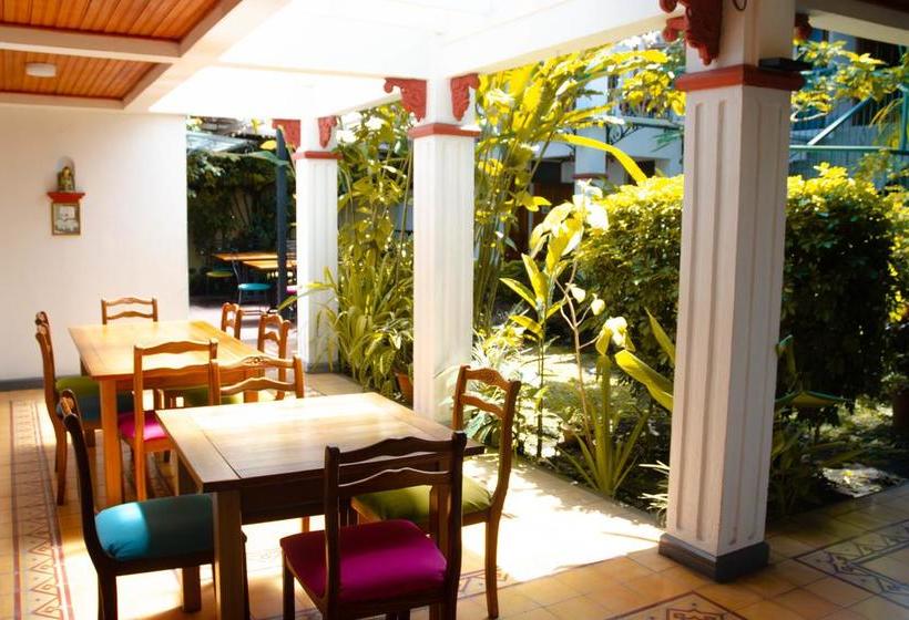 酒店 La Rosa Del Paseo