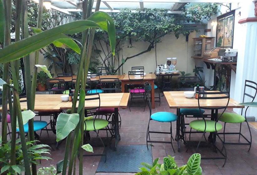 酒店 La Rosa Del Paseo