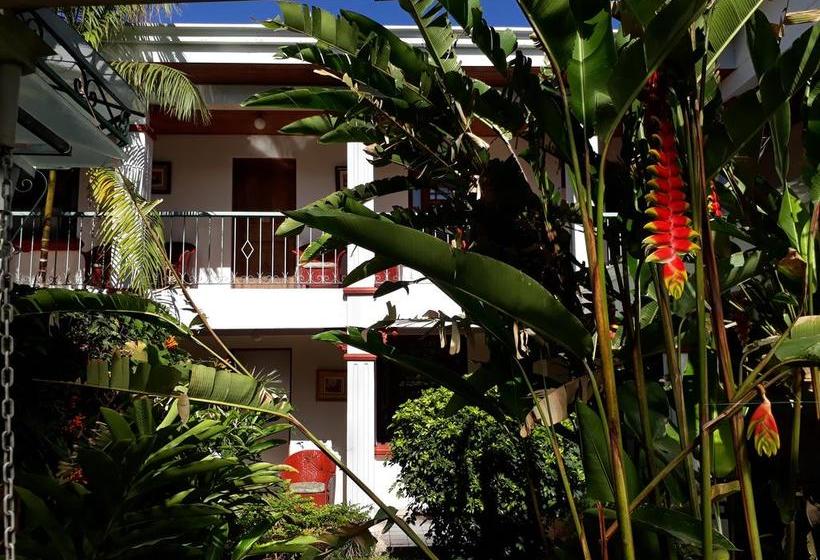 酒店 La Rosa Del Paseo