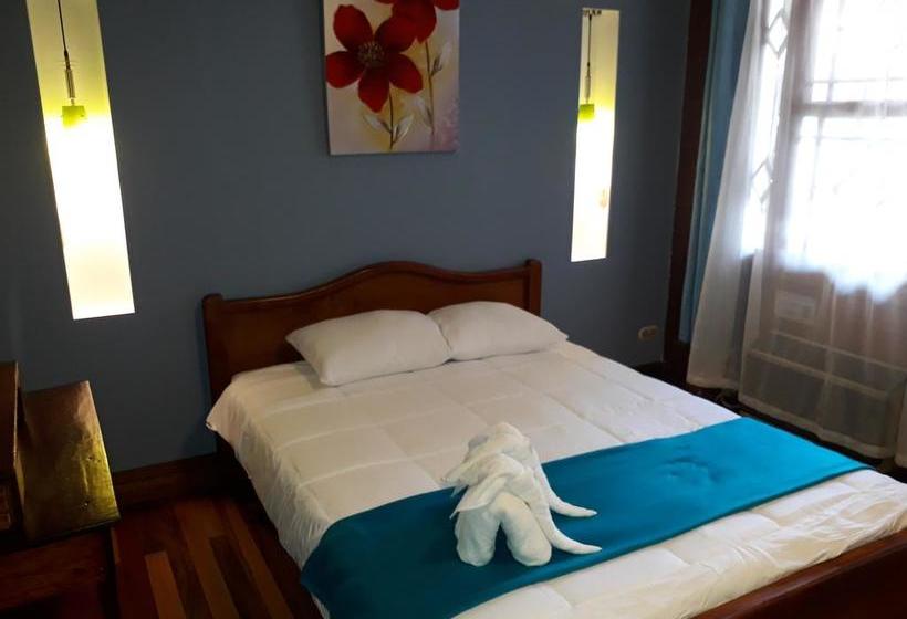 酒店 La Rosa Del Paseo