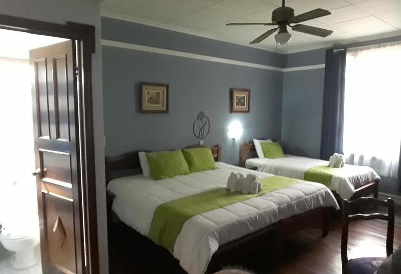 酒店 La Rosa Del Paseo