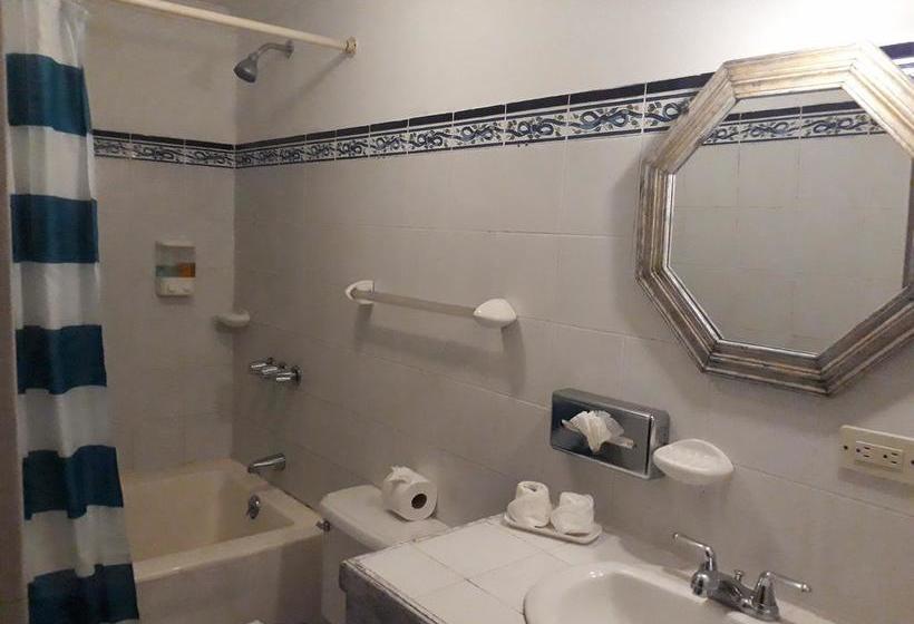 酒店 La Rosa Del Paseo