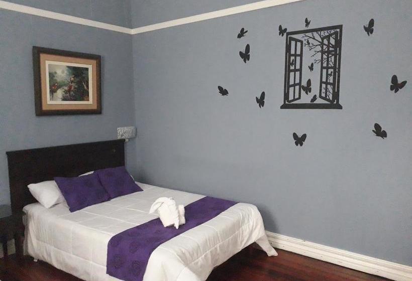 酒店 La Rosa Del Paseo