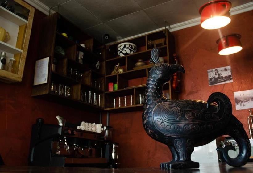 酒店 La Rosa Del Paseo