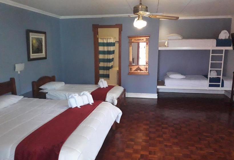 酒店 La Rosa Del Paseo