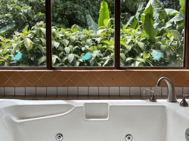 Villa Blanca Cloud Forest Hotel + Retreat