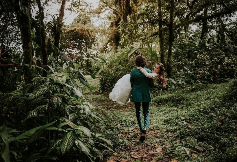 Villa Blanca Cloud Forest Hotel + Retreat