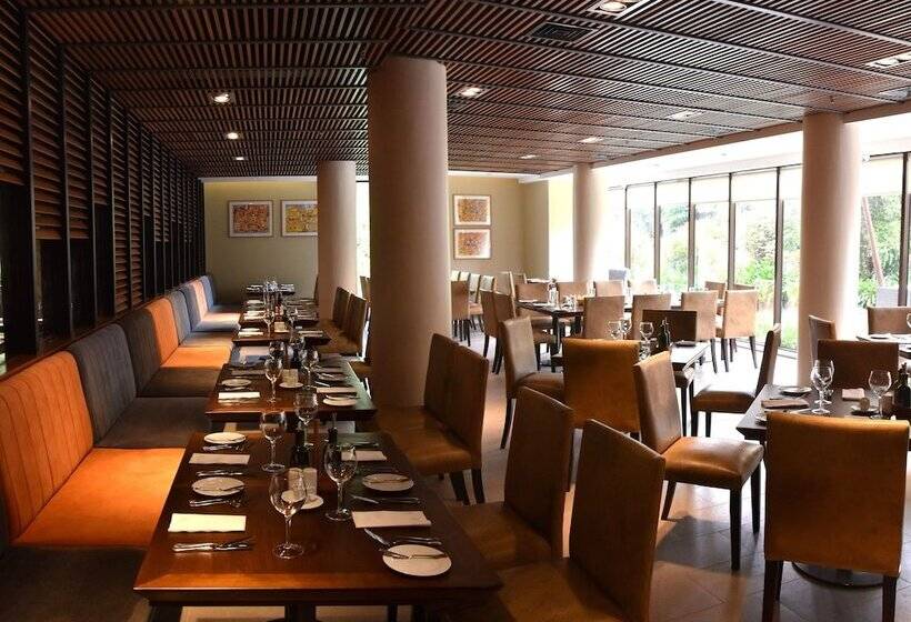 בית מלון כפרי Director Vitacura