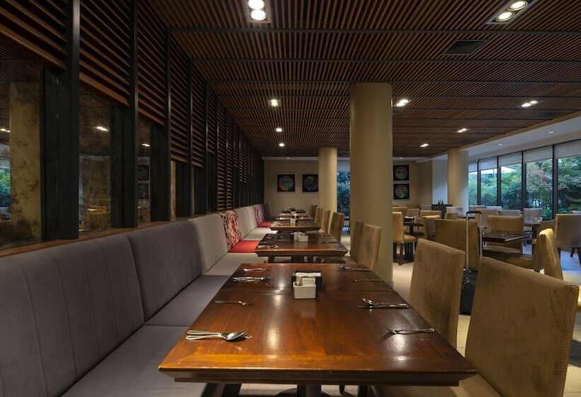 בית מלון כפרי Director Vitacura