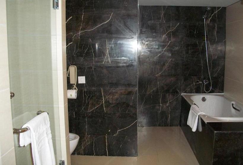 בית מלון כפרי Holiday Inn City Centre Harbin