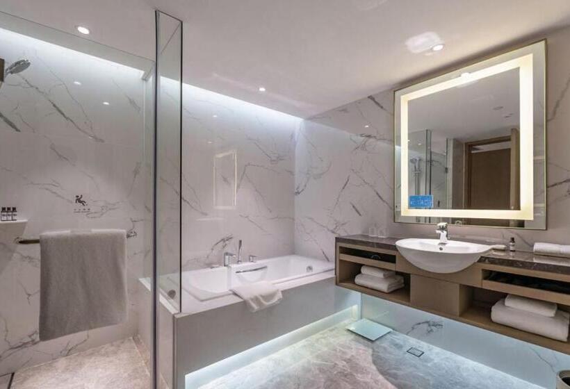 Отель Hyatt Regency Metropolitan Chongqing