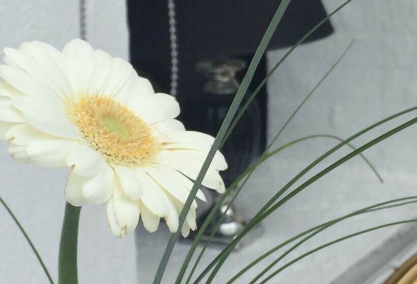 בית מלון כפרי Marcussens