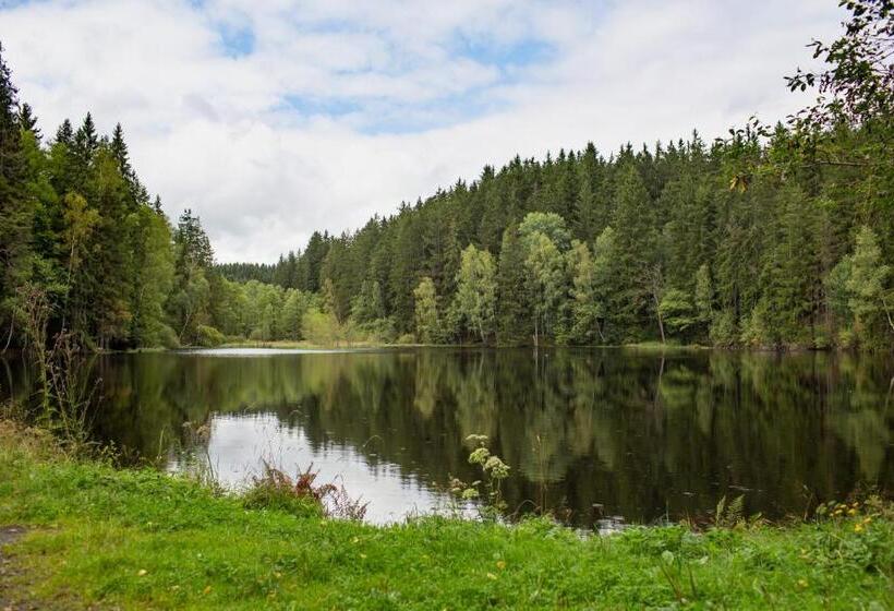 Orea Spa Hotel Cristal