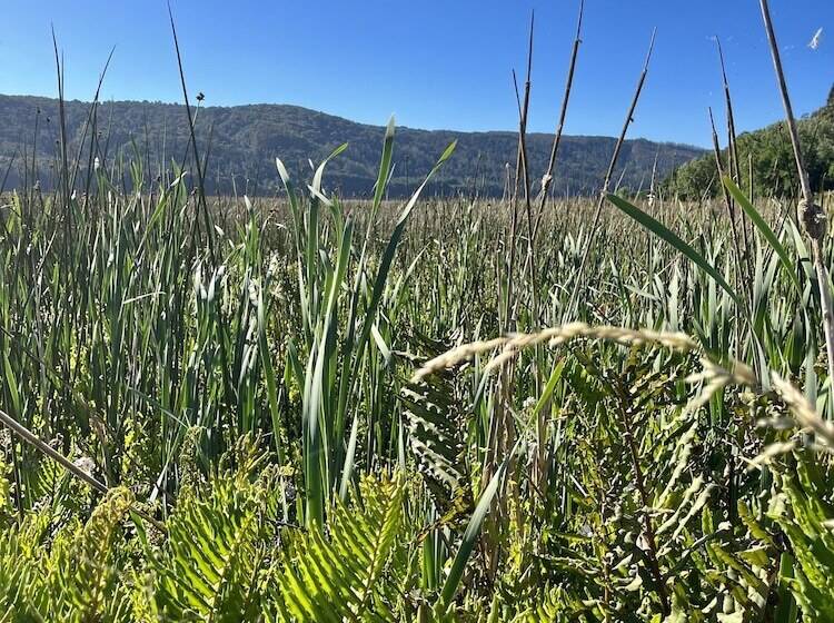 ホテル Puerta Del Sur