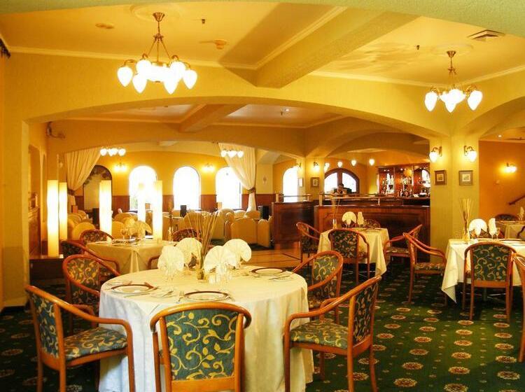 فندق Torremayor Lyon